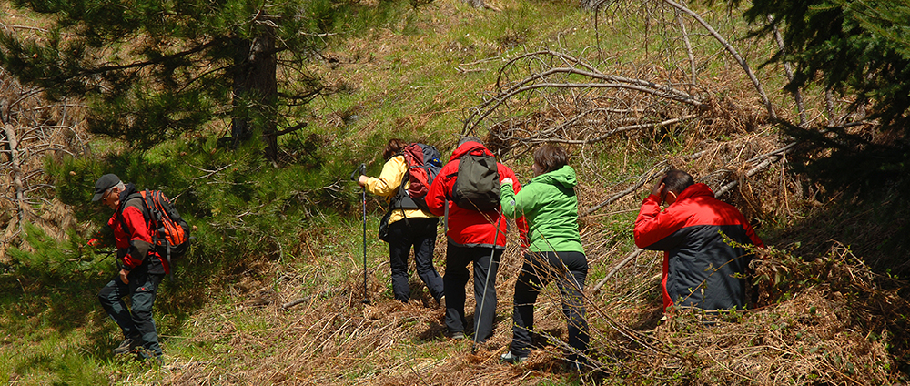 Trekking per le famiglie