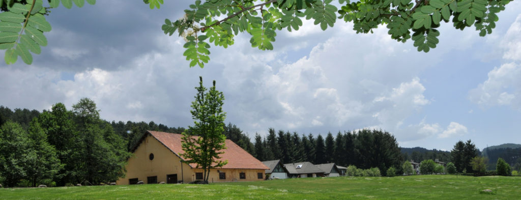 Bellissimo scorcio di un centro visita del parco della Sila