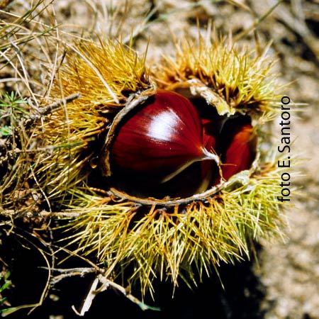 I passi Perduti - Itinerario Storico religioso