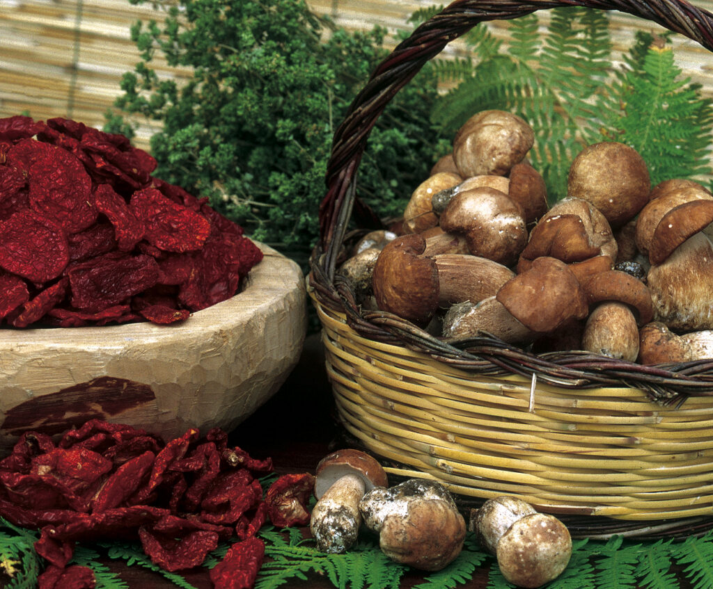 Composizione di Funghi locali e pomodori secchi.