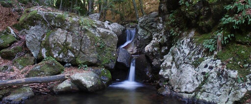 Sila Piccola Valle del Ritorto Gole