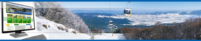 LINEE GUIDA PER LA REALIZZAZIONE DEL PORTALE DEL P.N.S.