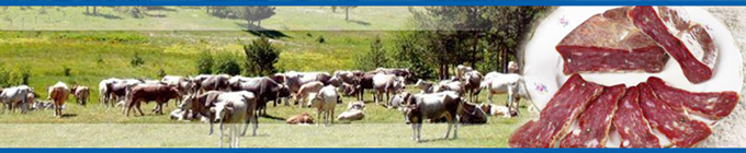 UN PARCO PER TUTTI. PROPOSTE PER UN MIGLIORAMENTO DEI SERVIZI OFFERTI