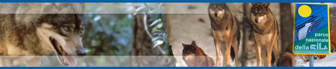 IL RUOLO E L'IMPORTANZA DEL MARCHIO NEL SISTEMA DEI PARCHI NAZIONALI