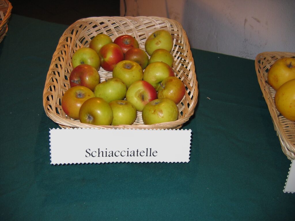 Cesto pieno di Schiacciatelle